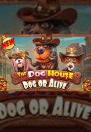 Bocoran RTP The Dog House – Dog or Alive di TOTOLOKA88 Generator RTP SLOT 4D Terlengkap