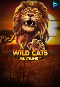 Bocoran RTP Wild Cat Multiline di TOTOLOKA88 Generator RTP SLOT 4D Terlengkap